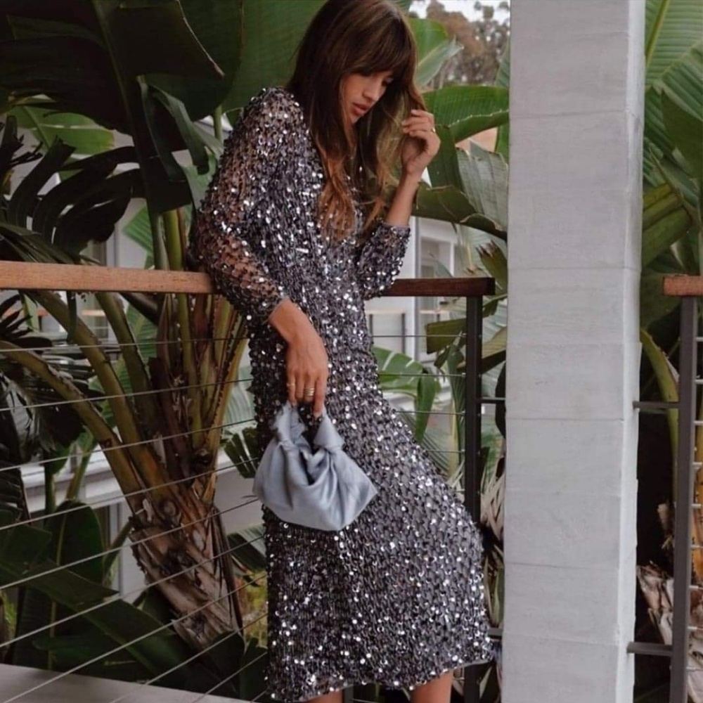 Zara Sequined mesh dress NWT